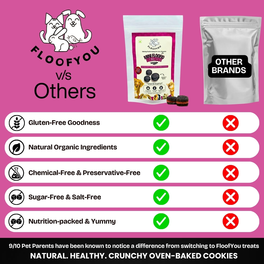 Floofyou Mini Floofio Beetroot Vegan Oven Baked Cookie Dog Treats image 5