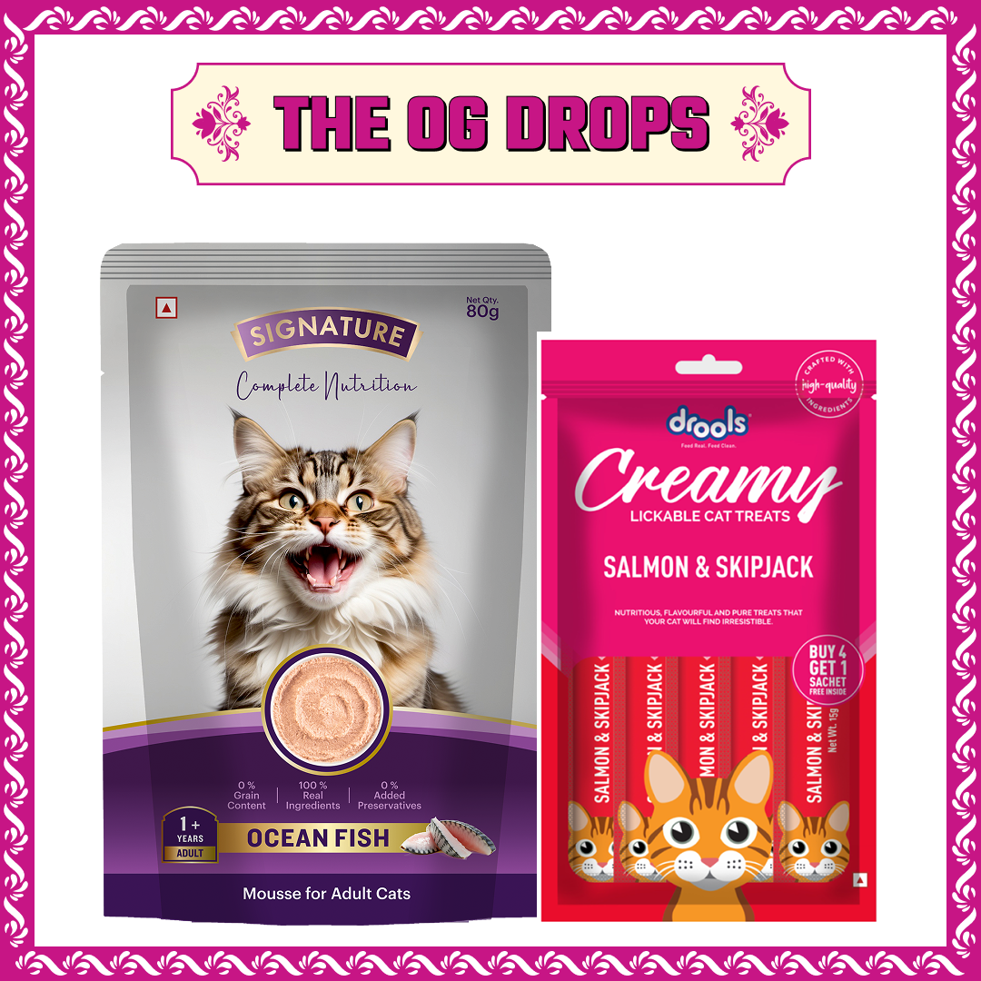Signature Grain Zero Ocean Fish Mousse Adult Cat Wet Food image 3