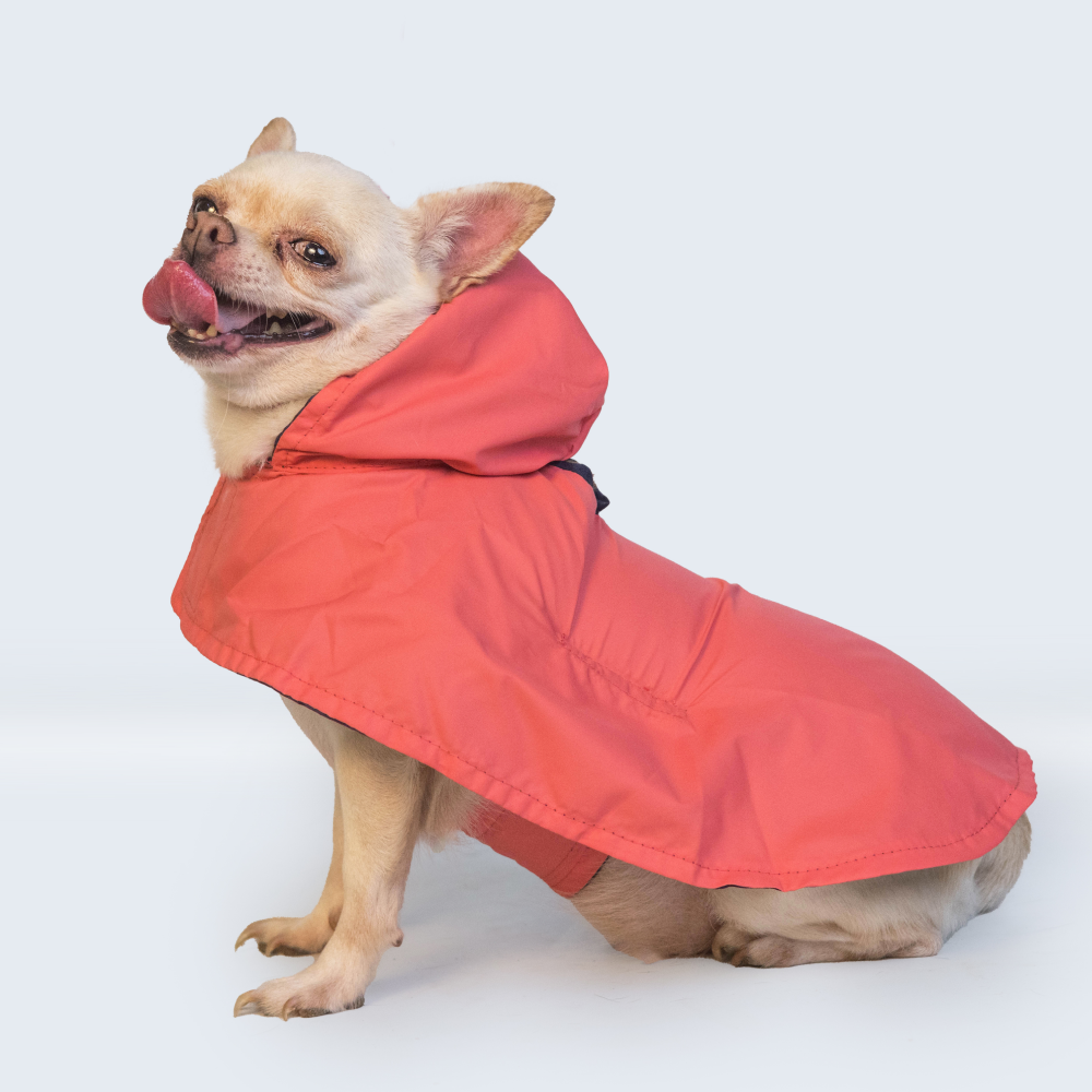 Pet Set Go Cape Style Raincoat for Dogs (Red) image 6