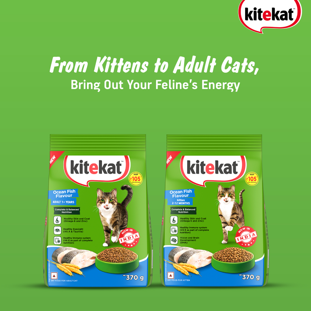 Kitekat Ocean Fish Kitten Dry Food image 8