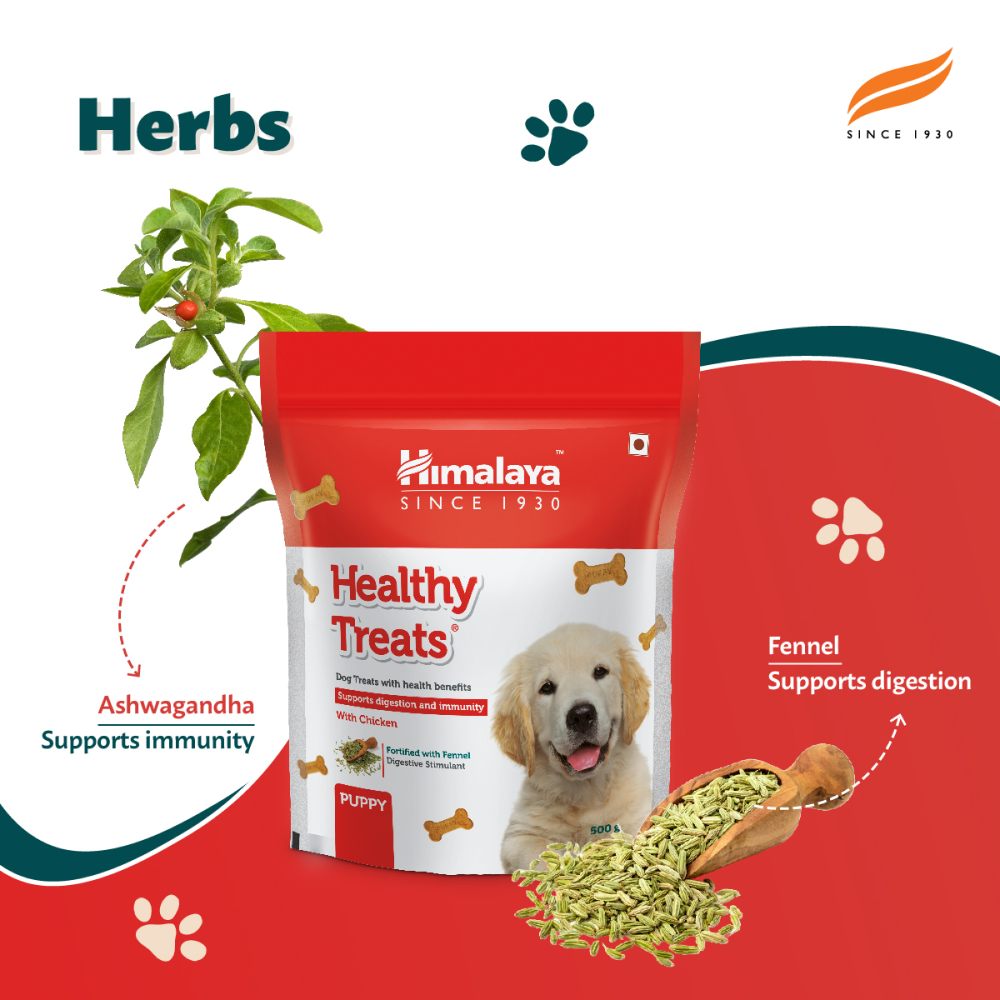 Himalaya Chicken Healthy Treats for Puppies image 6