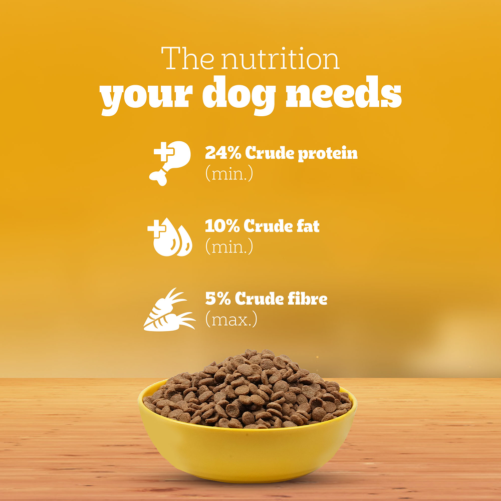 Pedigree Chicken and Milk Puppy Dry Food image 5
