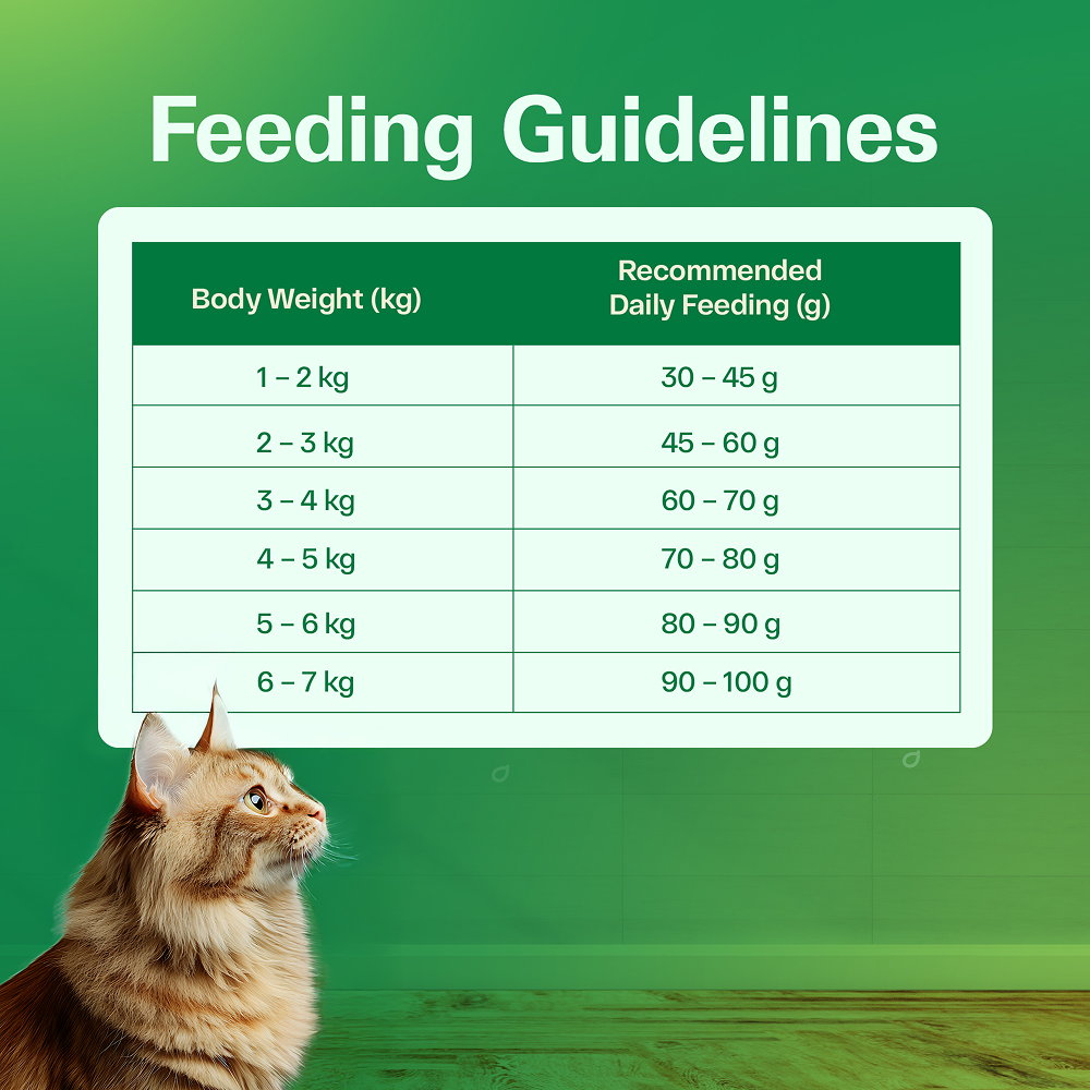 Avant Furst Tuna Fish Flavour Adult Cat Dry Food image 8