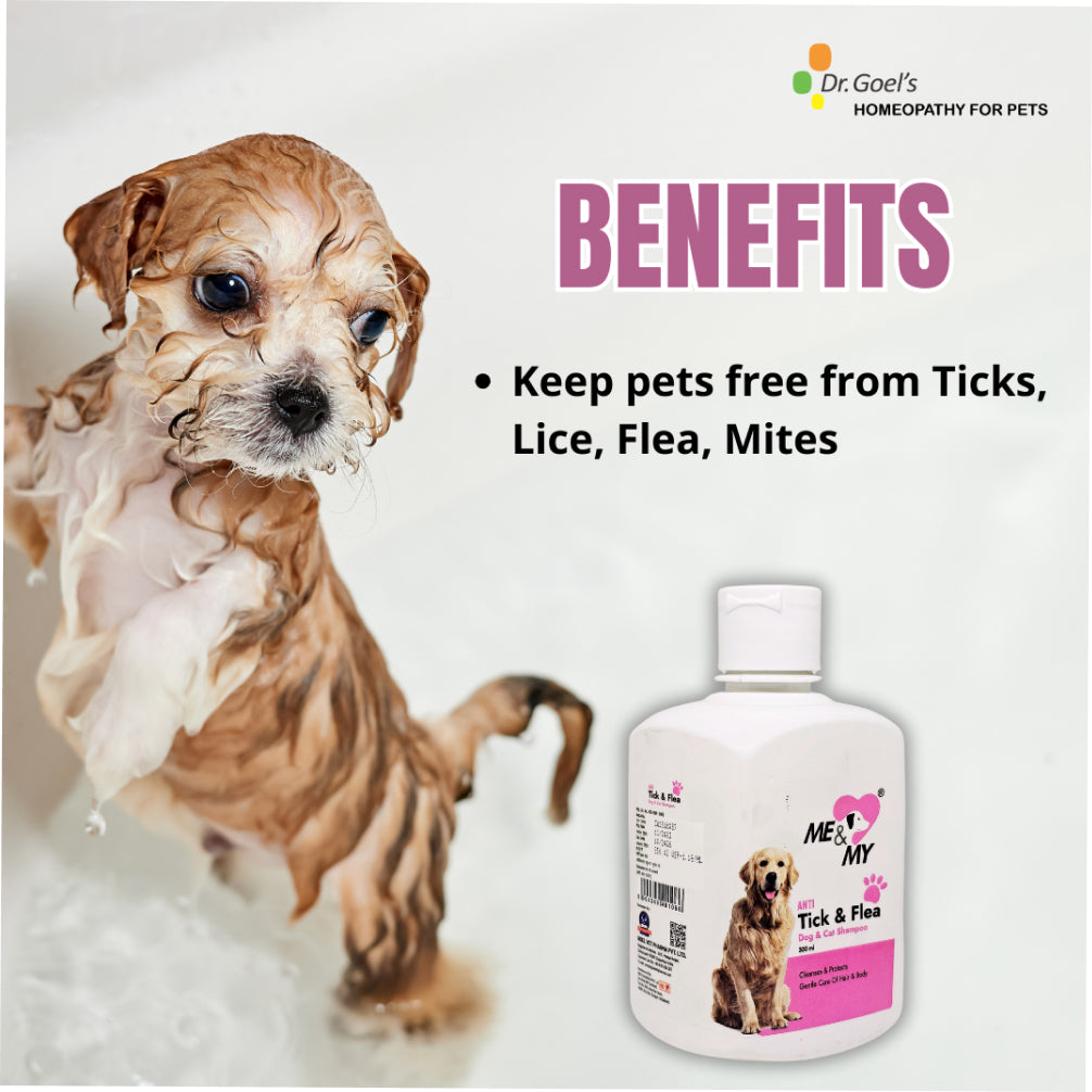 Dr Goel's Me & My Anti Ticks & Flea Shampoo for Dogs and Cats image 6