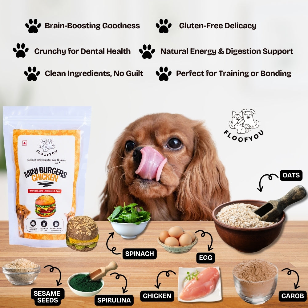 Floofyou Mini Burger Chicken Oven Baked Cookie Dog Treats image 5