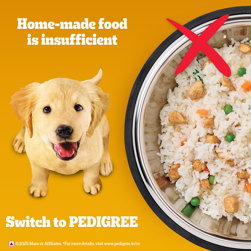 Pedigree Meat & Milk Puppy Dog Dry Food image 7