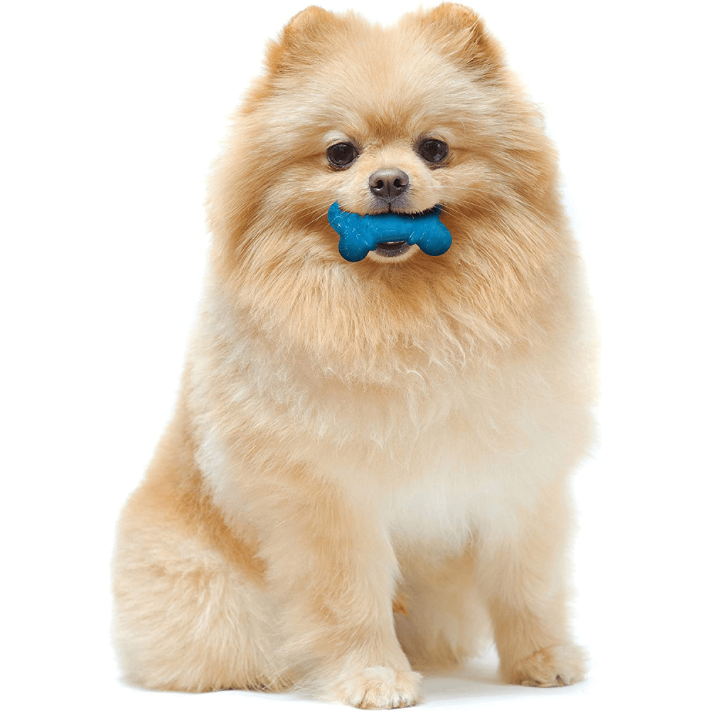 Nylabone Puppy Teething Peanut Butter and Bacon Flavoured Flexi Chew Bone Toy for Dogs (Orange/Blue) image 6
