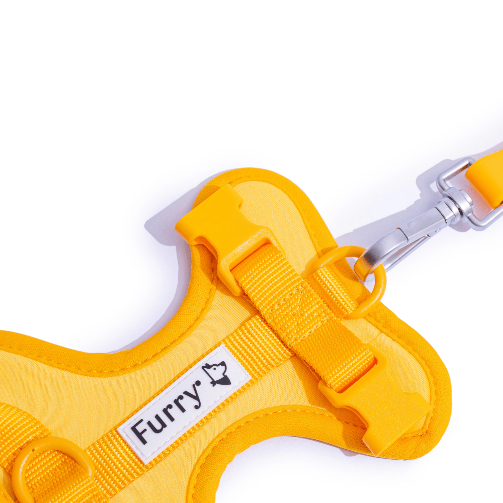 Furry & Co Bold Harness for Dogs (Mango) image 3