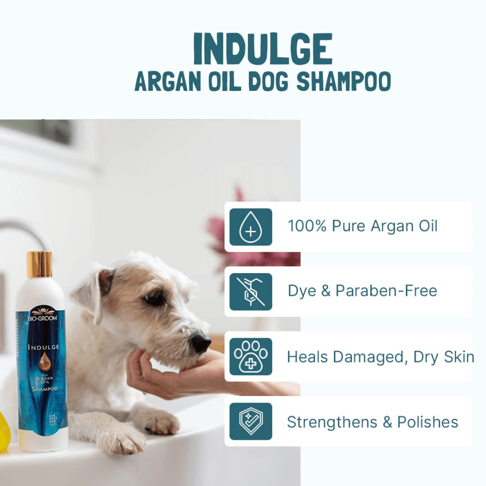 Bio Groom Indulge Sulfate Free Pure Argan Oil Shampoo for Dogs and Cats image 3