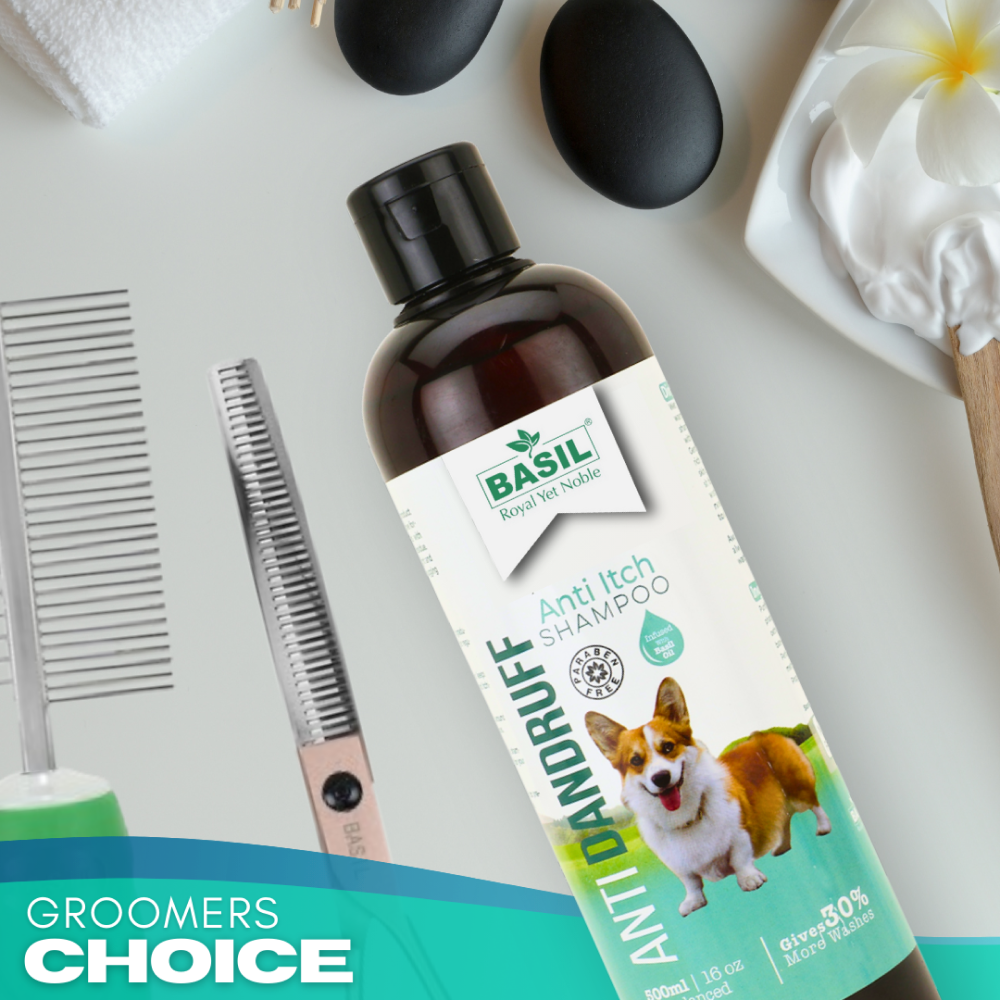 Basil Anti Dandruff & Anti Itch Shampoo for Dogs and Cats image 7