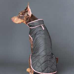 Pet Set Go Wind Sheeter Jackets for Dogs (Black)