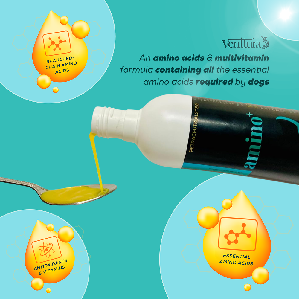 Venttura Omega 3 Plus Skin & Coat with Amino Plus Syrup for Dogs image 10