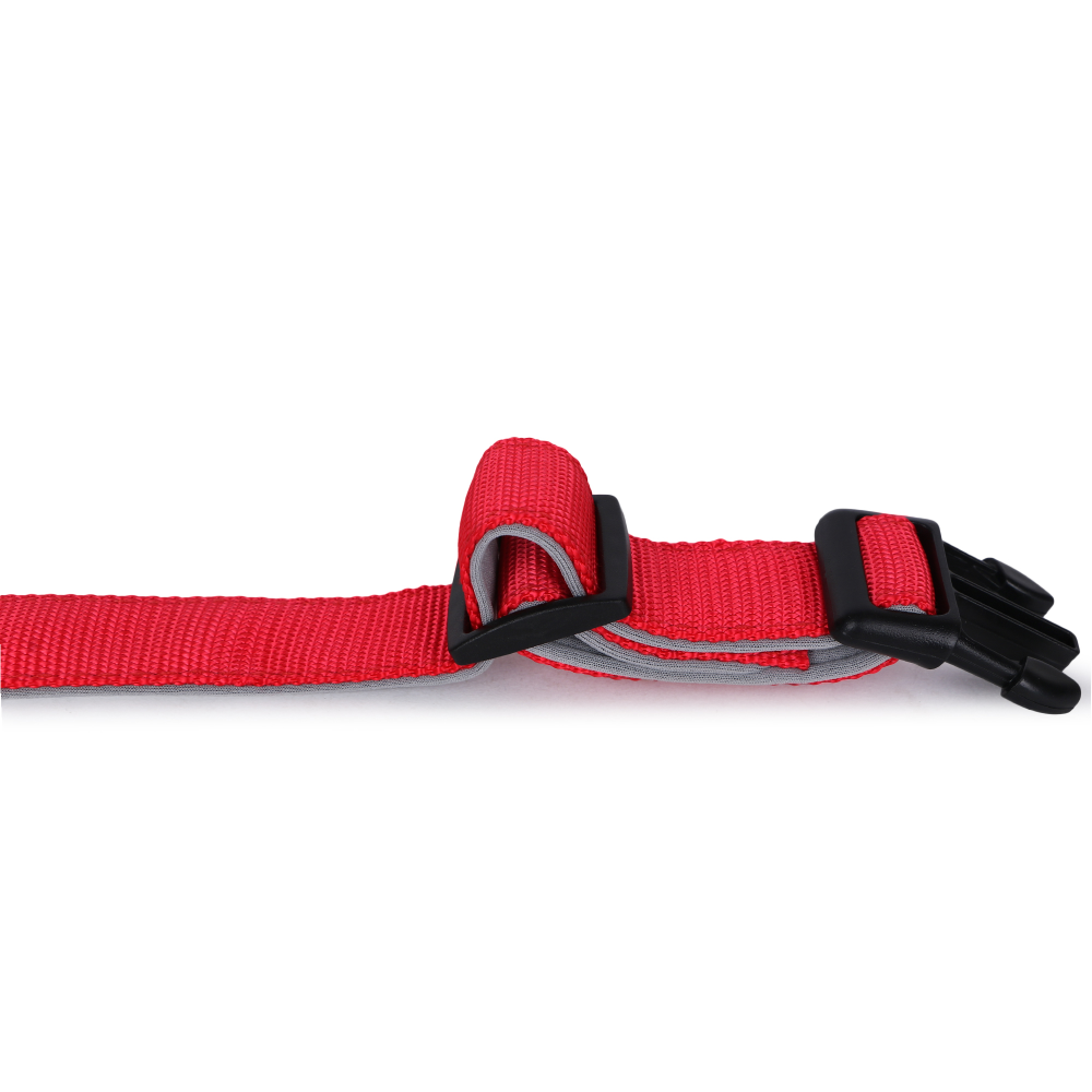 Basil Nylon Padded Collar for Dogs (Red) image 3