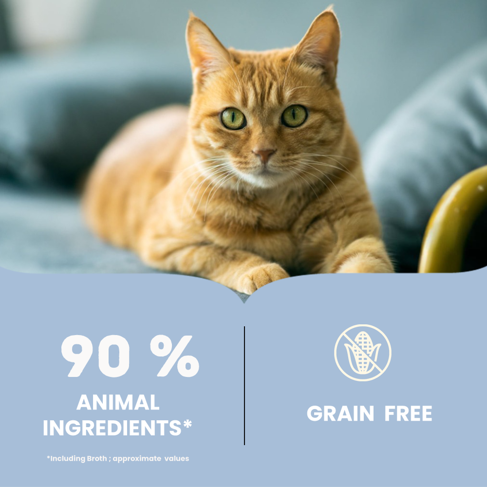 Bruno's Wild Essentials Mackerel & Tuna Cat Wet Food image 2