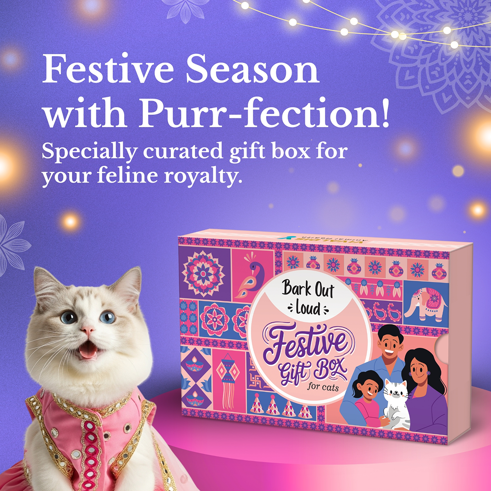 Bark Out Loud Festive Gift Box for Cats image 2
