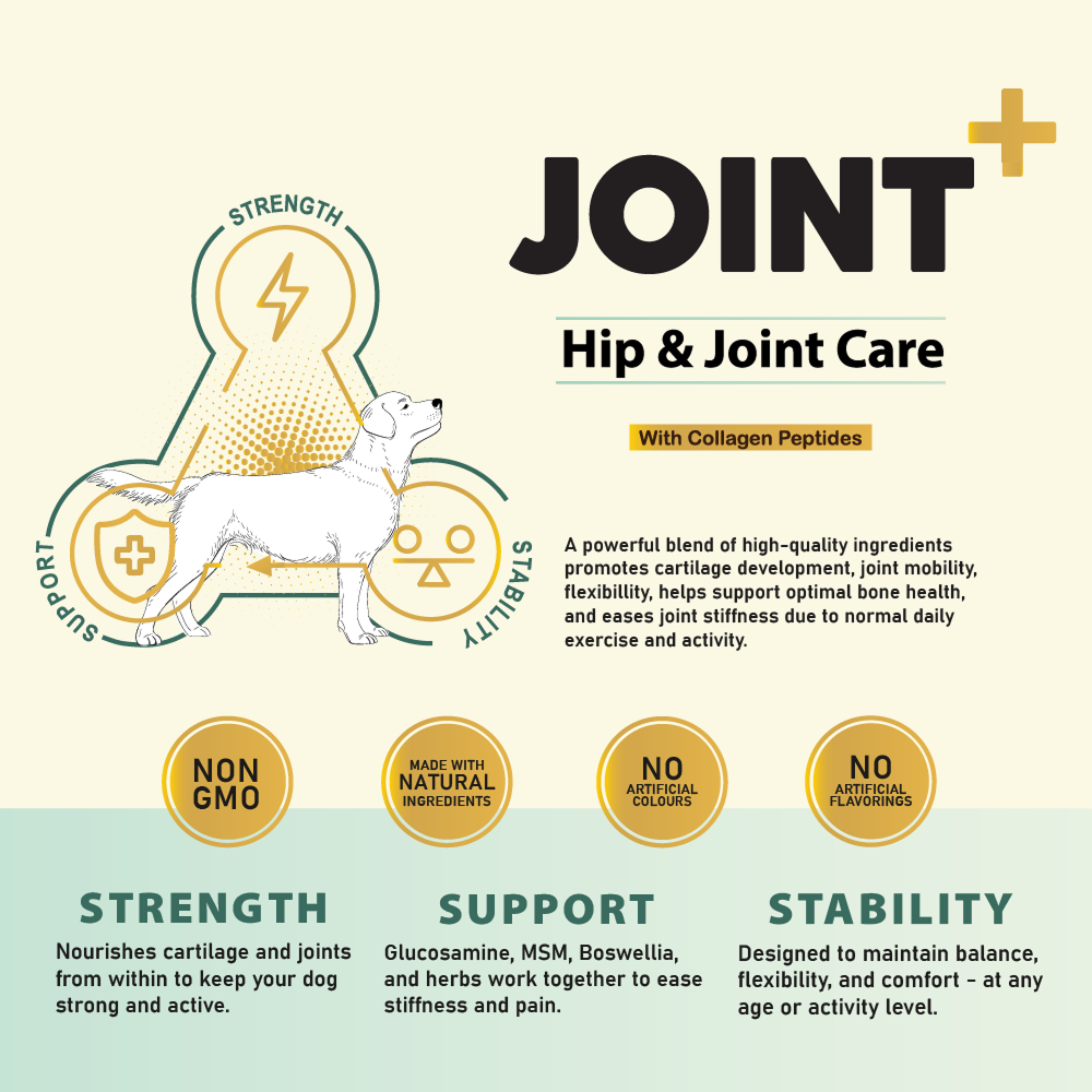 Bruno's Wild Essentials Joint+ Hip & Joint Care Supplement for Dogs image 7