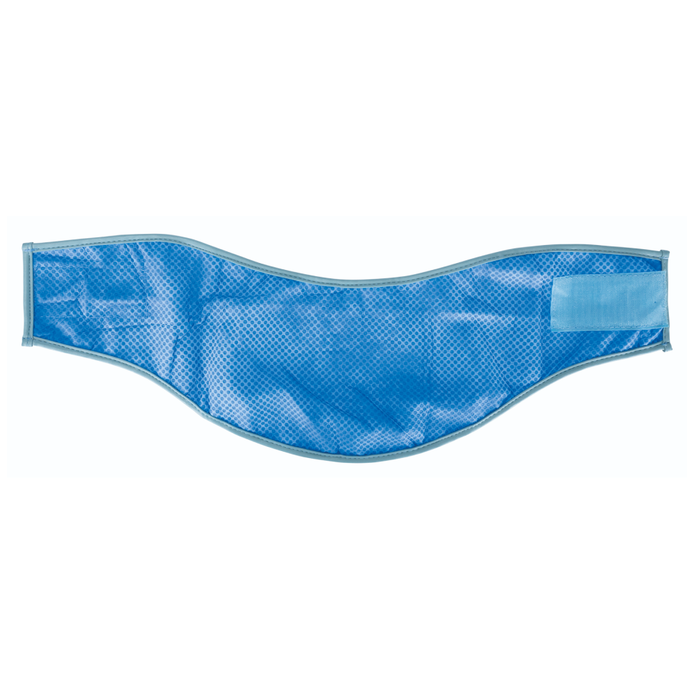 Trixie Cooling Bandana for Dogs (Blue) image 2