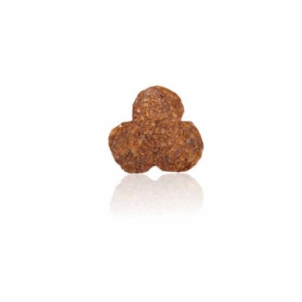 Arden Grange Sensitive Adult Dry Dog Food | Ocean White Fish & Potato image 3