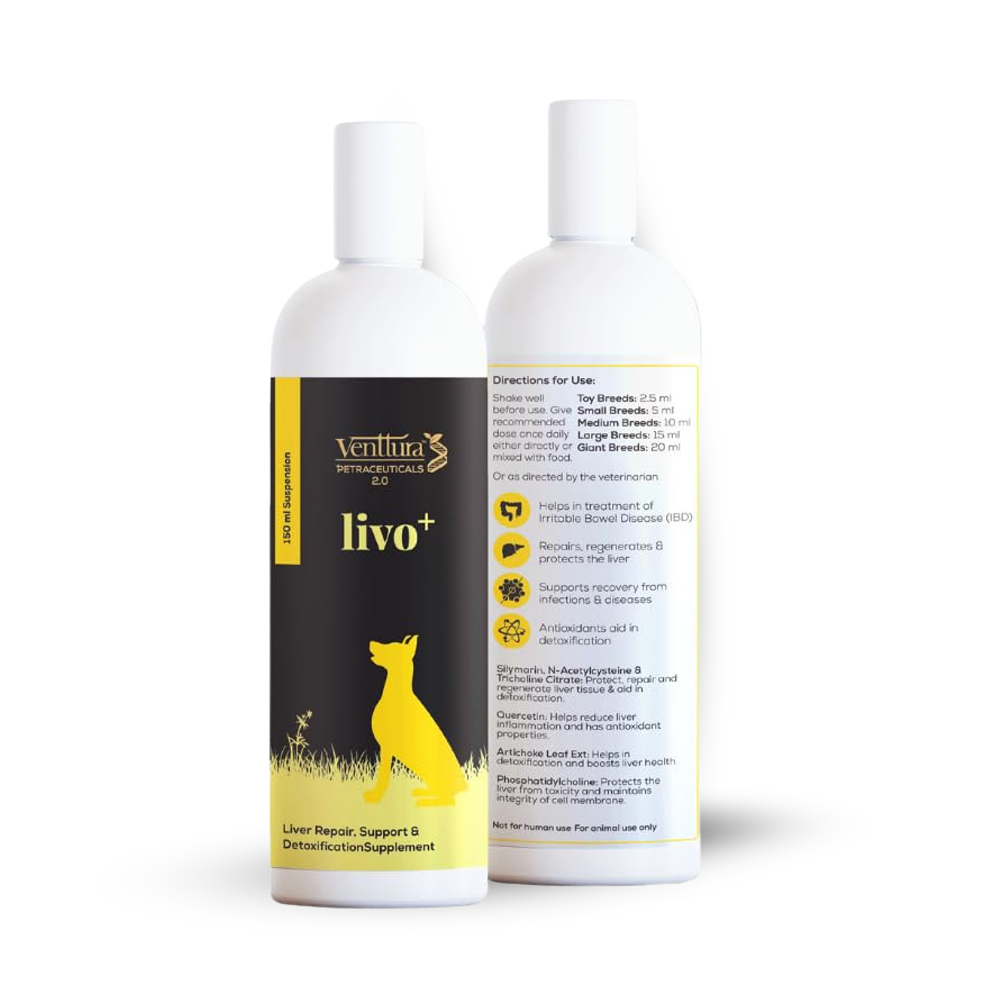 Venttura Livo Plus Liver Supplement Syrup for Dogs image 2