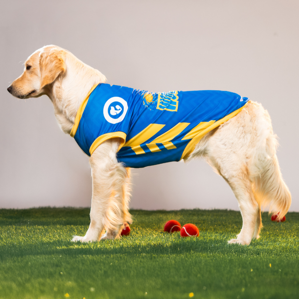 Pet Set Go Mumbai Woofians IPL Jersey for Dogs (Blue) | Indian Pet League image 2