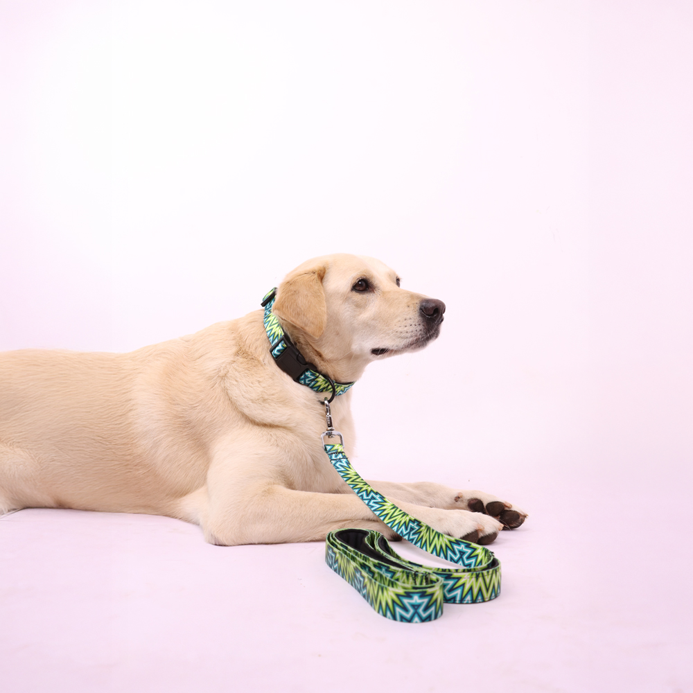 Skatrs Electric Pop Collar for Dogs & Cats image 4