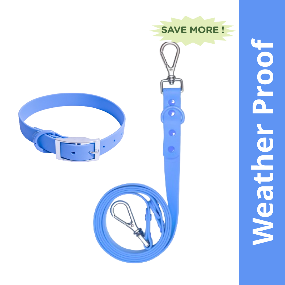 Furry & Co Weatherproof Collar and Leash for Dogs Combo (Everest Blue) - M