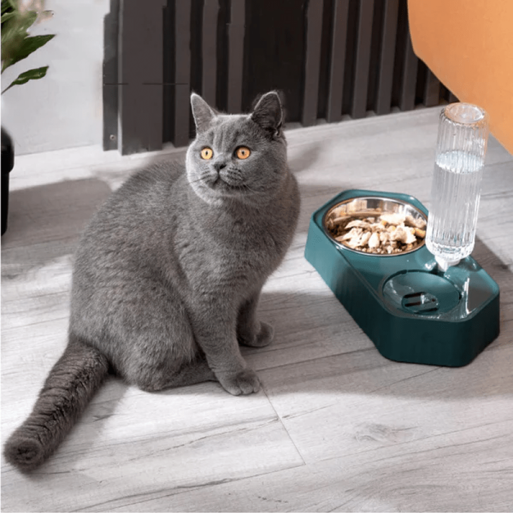 Emily Pets Automatic Water Dispenser Double Bowls for Dogs and Cats (Blue) image 3
