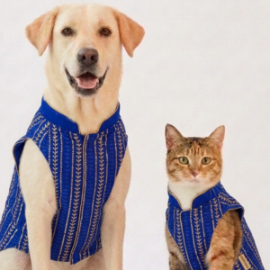 Skatrs Maharaja Handcrafted Sherwani for Dogs and Cats (Sapphire Blue)