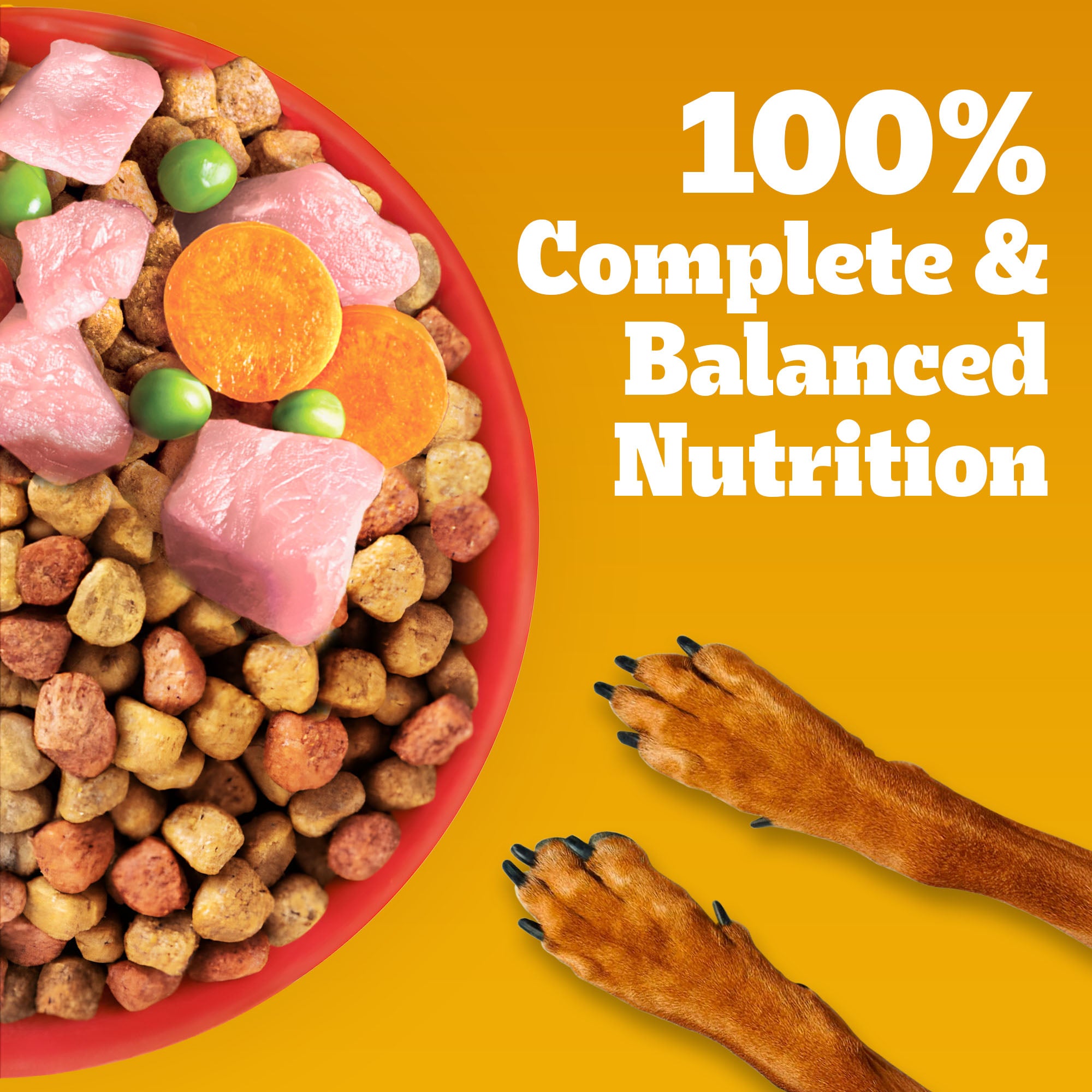 Pedigree Chicken and Vegetables Adult Dry Dog Food image 4