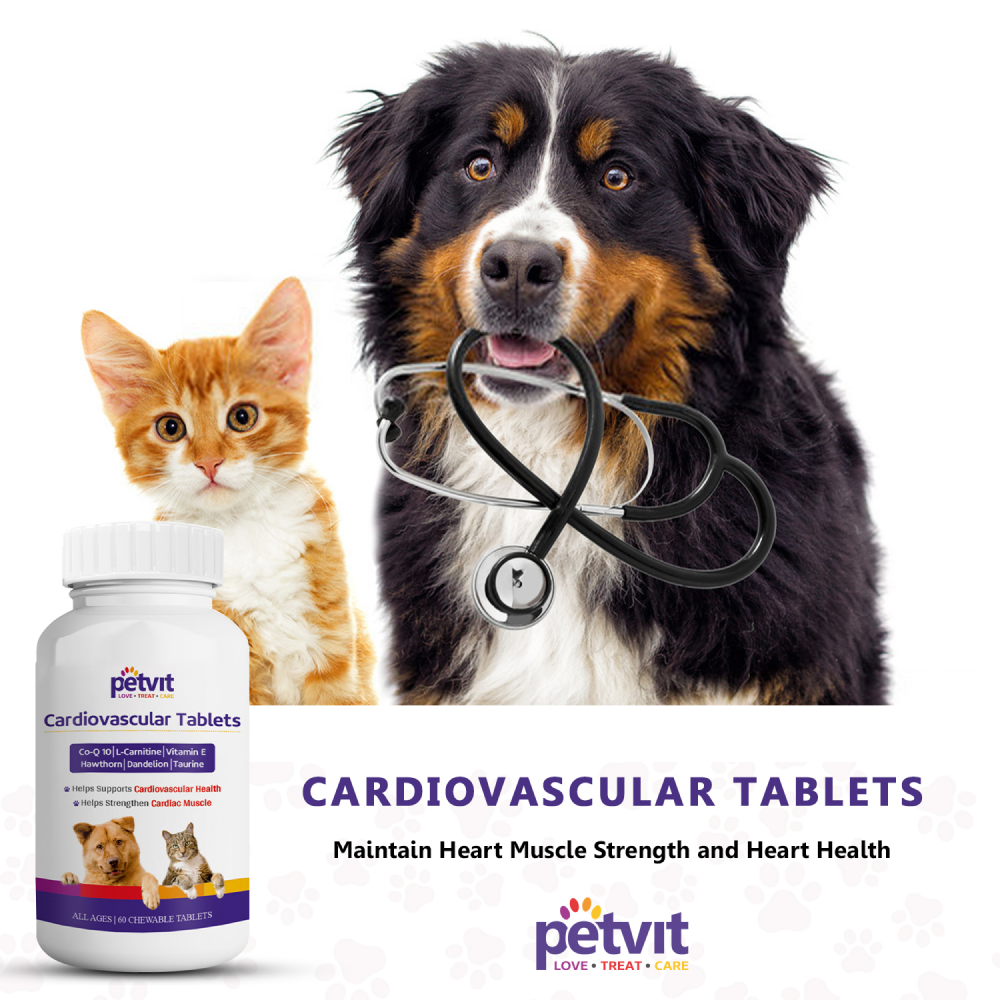 Petvit Cardiovascular Tablets, Coenzyme Q 10 Supplements for Dogs and Cats image 7