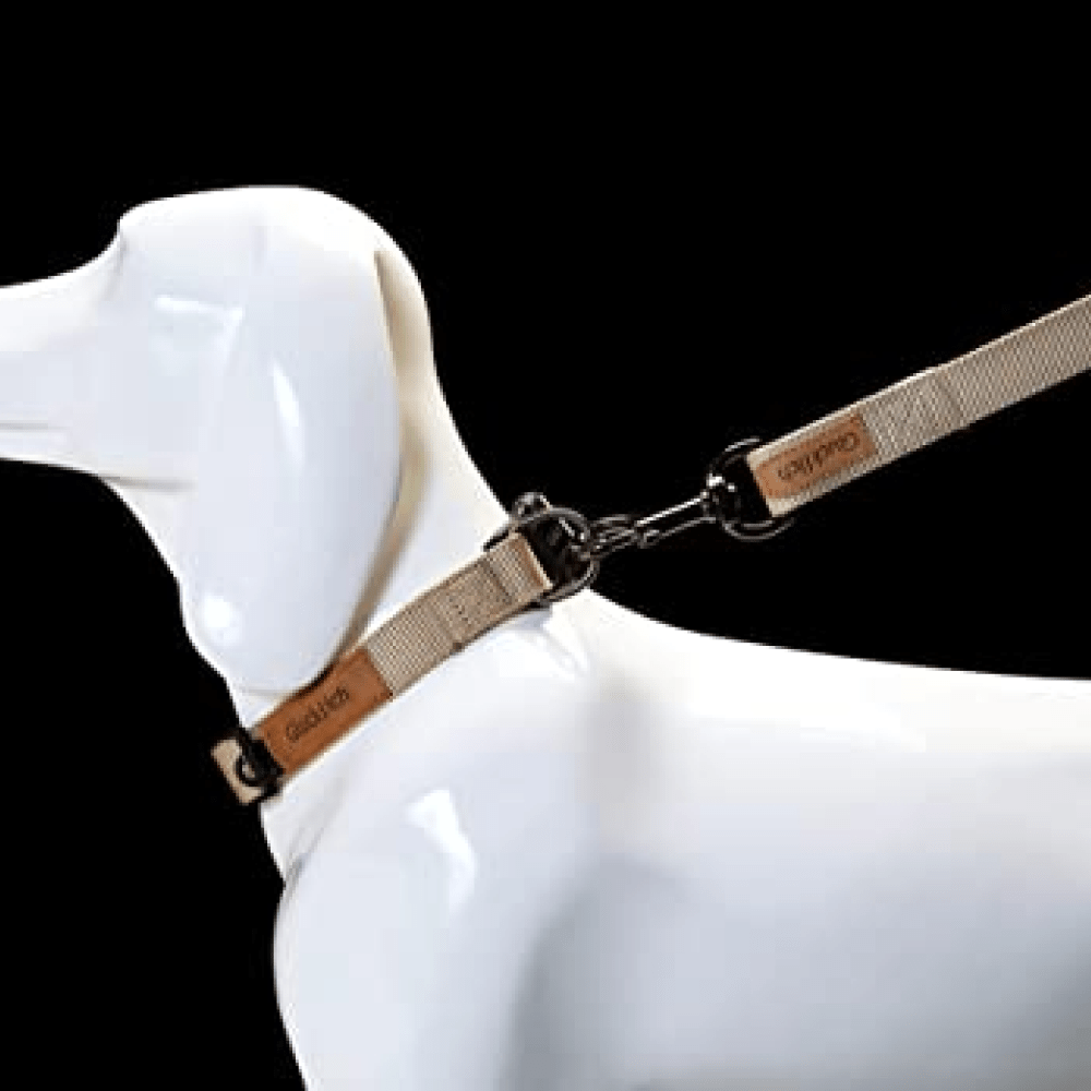 Glucklich Pet Essentials Classic Nylon Collar for Dogs (Beige) image 6