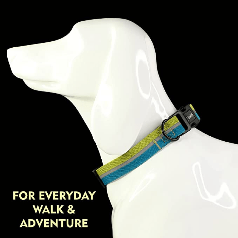 Glucklich Everyday Reflective Collar for Dogs (Mint Green) image 4