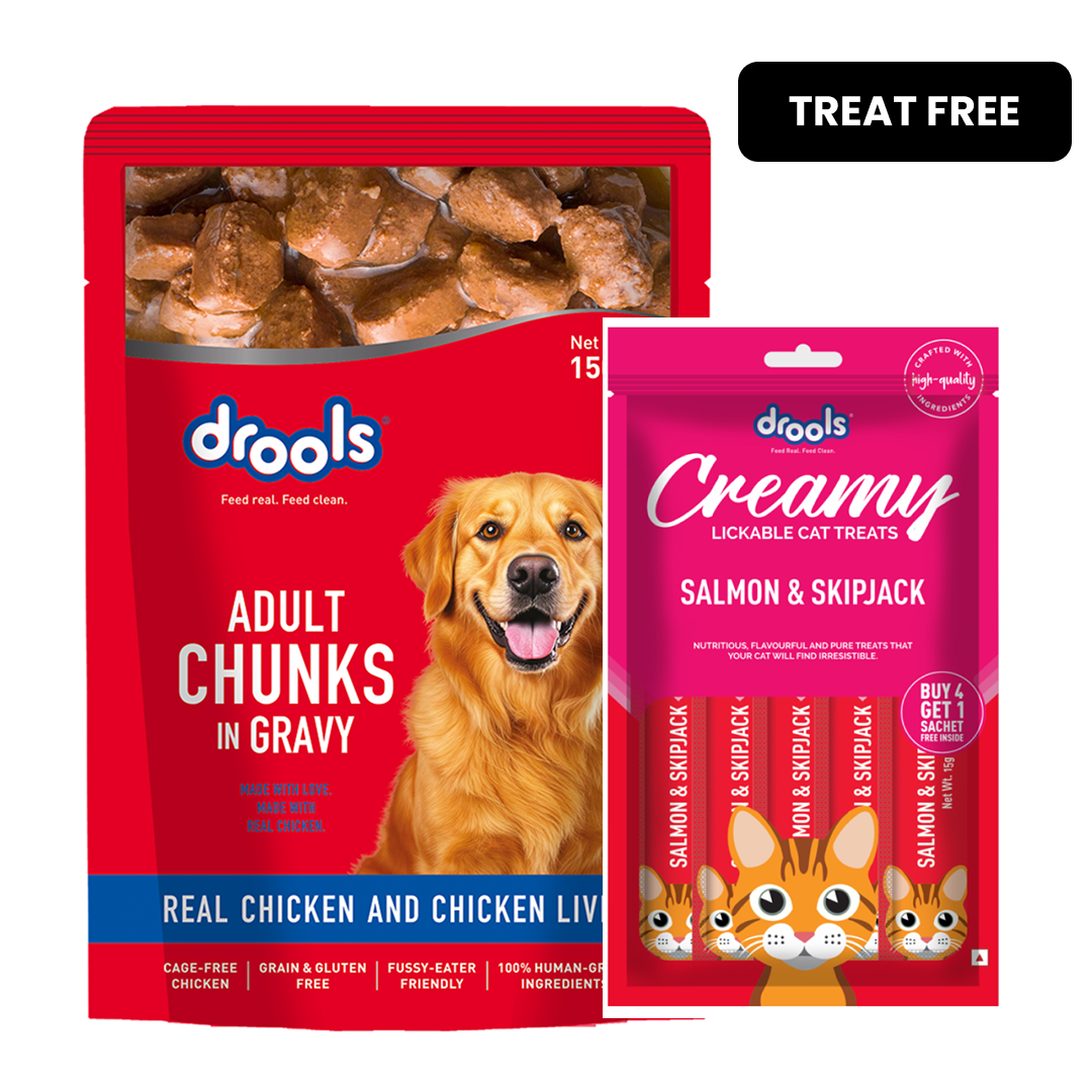 Drools Real Chicken & Chicken Liver Chunks in Gravy Adult Dog Wet Food image 2