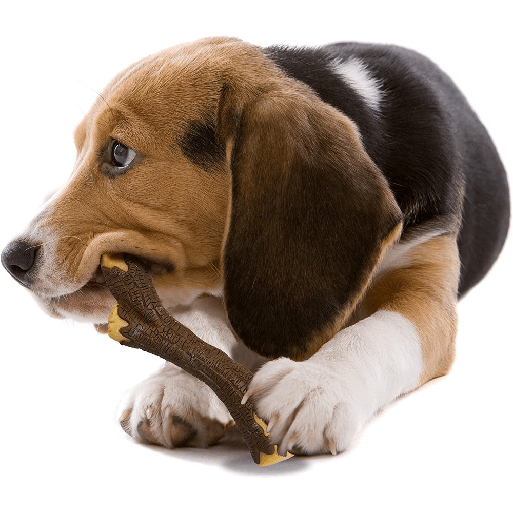 Nylabone Puppy Teething Maple Bacon Flavoured Stong Chew Real Wood Sticks Toy for Dogs (Brown) image 5
