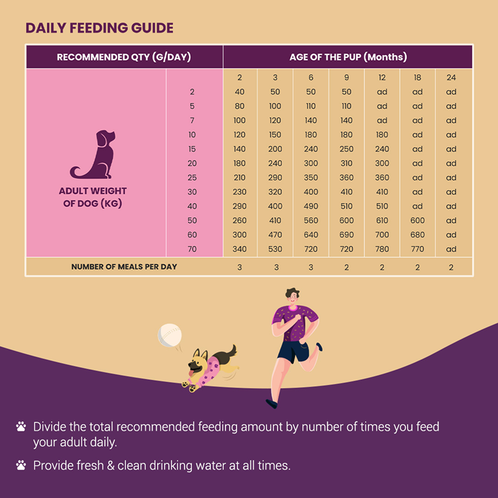 Bowlers Nutrimax Club Puppy Dog Dry Food image 4