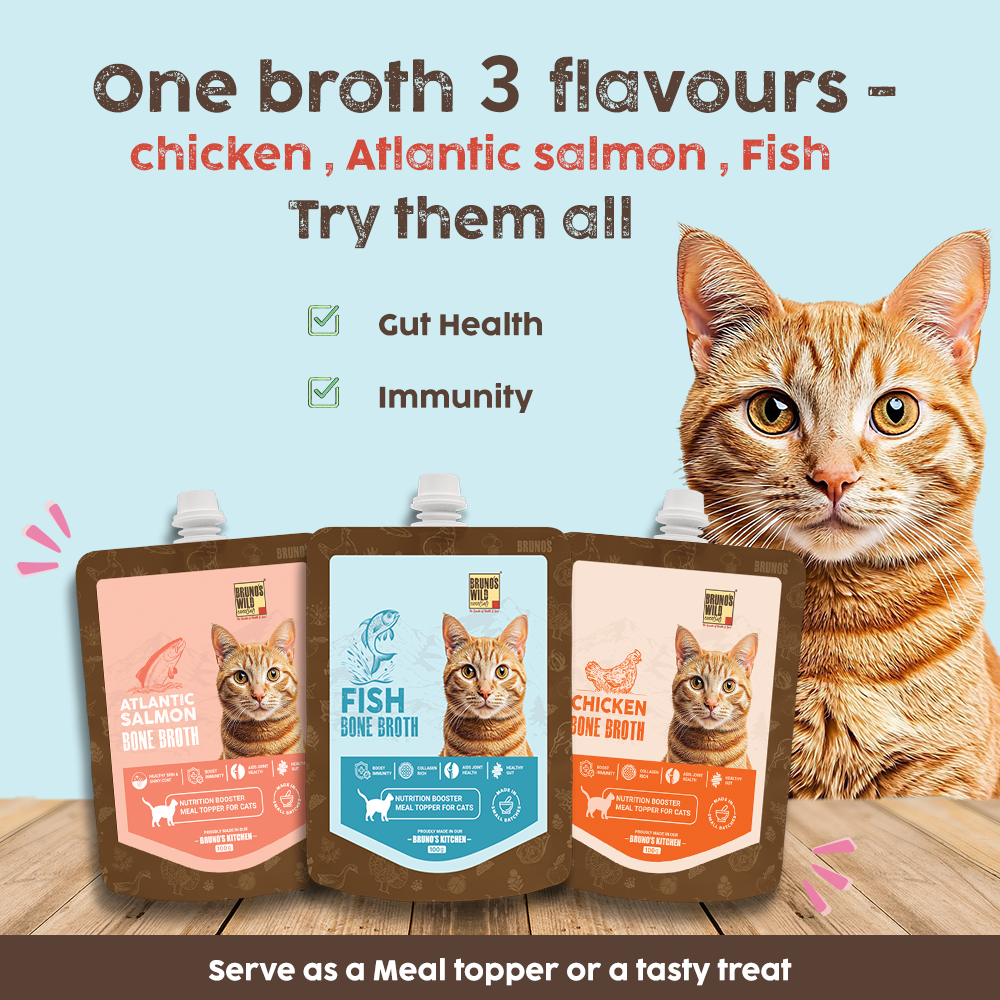 Bruno's Wild Essentials Fish Bone Broth For Cats image 6