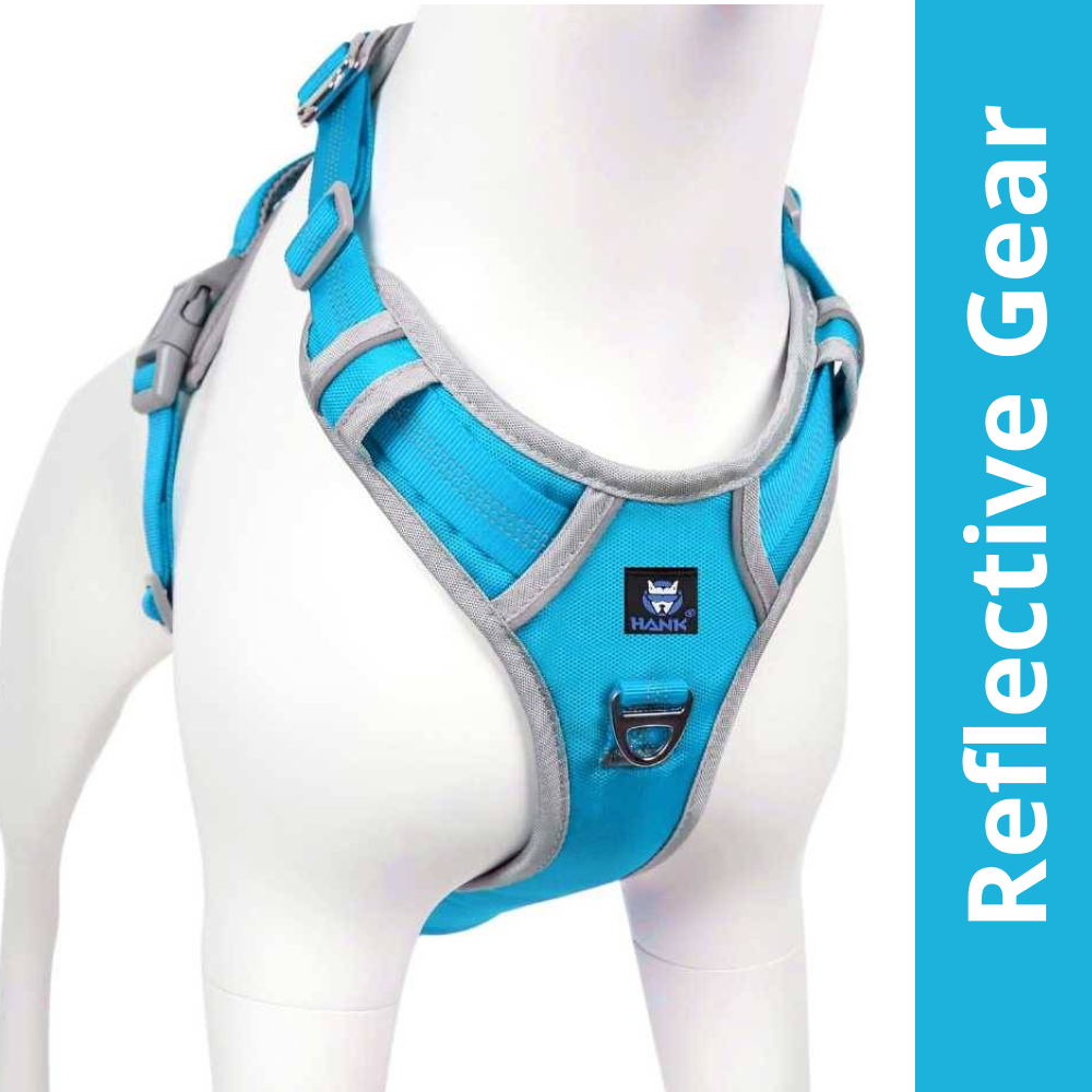 Hank 3M Reflective Harness for Puller Dogs (Grey/Cyan Blue)