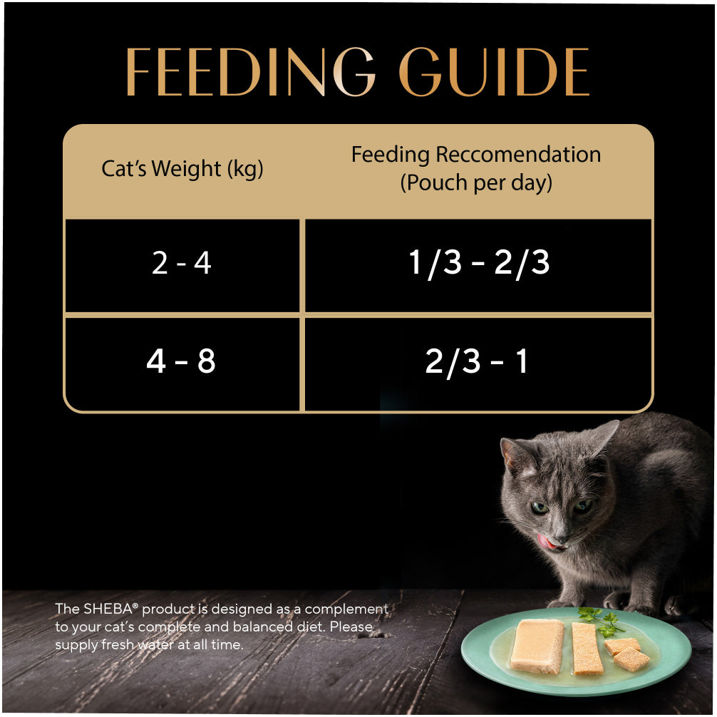 Sheba Chicken Loaf Rich Premium Kitten (2 to 12 Months) Fine Cat Wet Food image 5