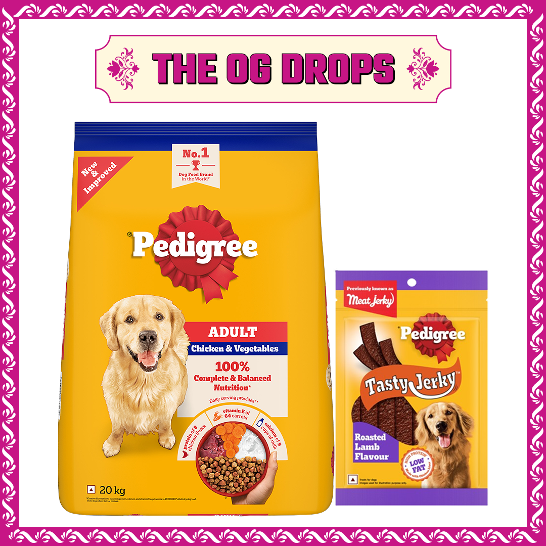 Pedigree Chicken and Vegetables Adult Dog Dry Food image 3