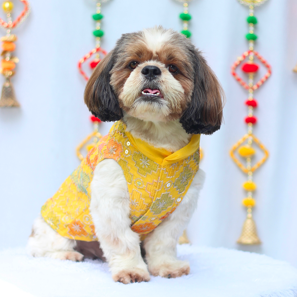 Pawgypets Festive Patola Kurta for Dogs (Yellow) image 2