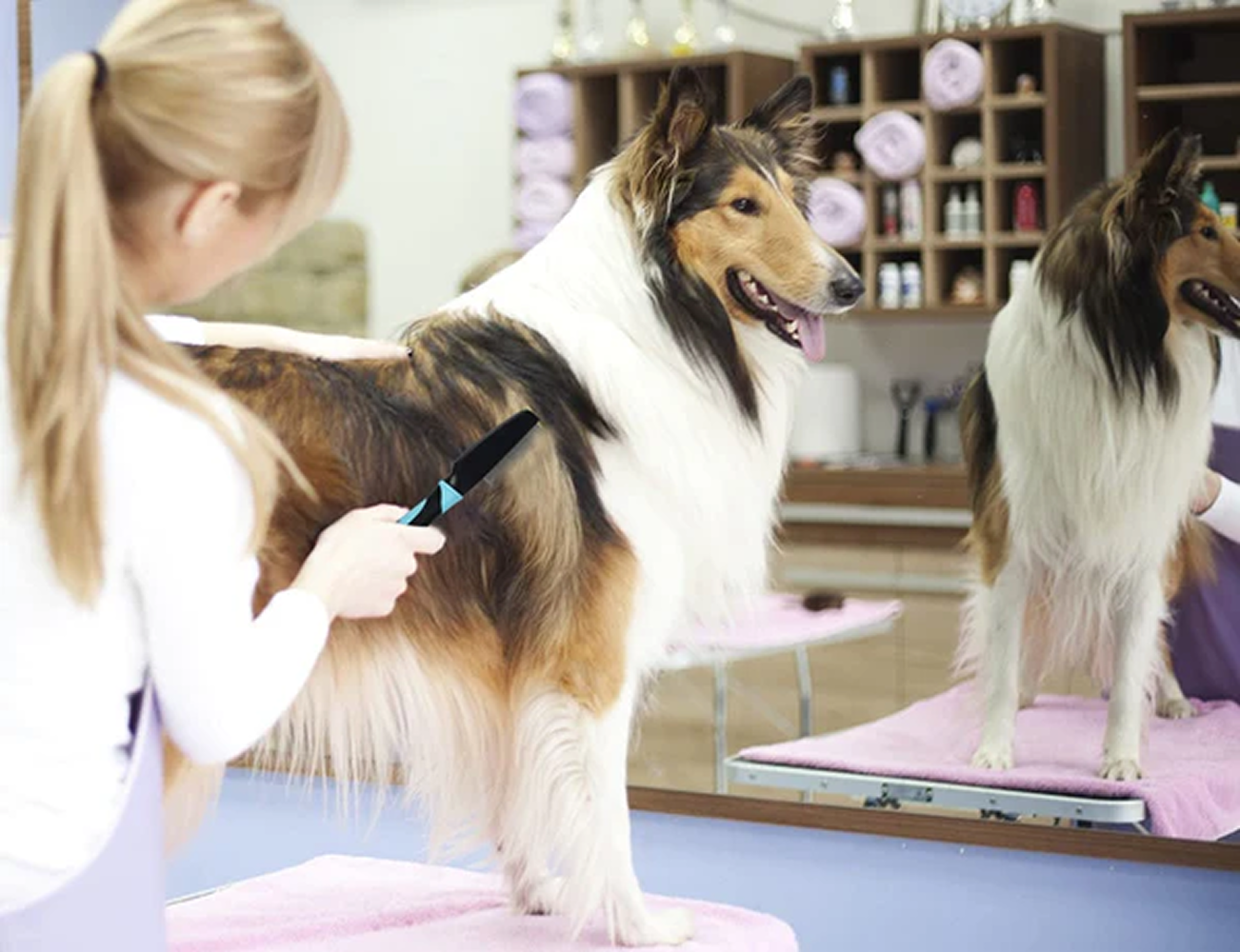 Hank Flea Comb for Pets (Blue) image 8