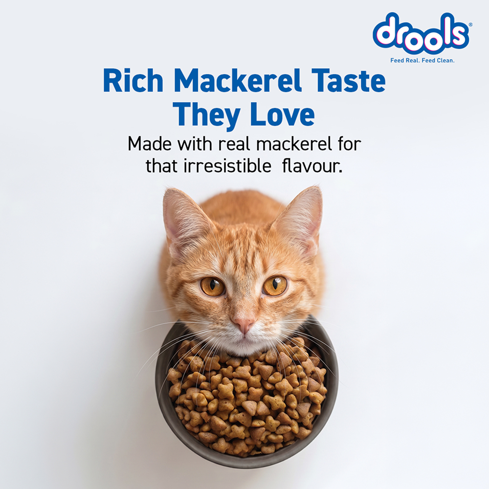 Drools Mackerel Adult Cat Dry Food image 8
