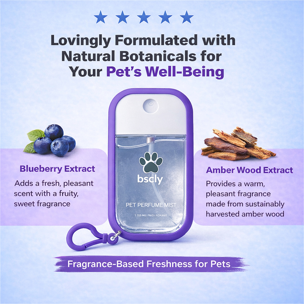Bscly Fresh Mint Perfume Mist Portable Grooming Spray with Travel Silicone Case and Keychain image 4