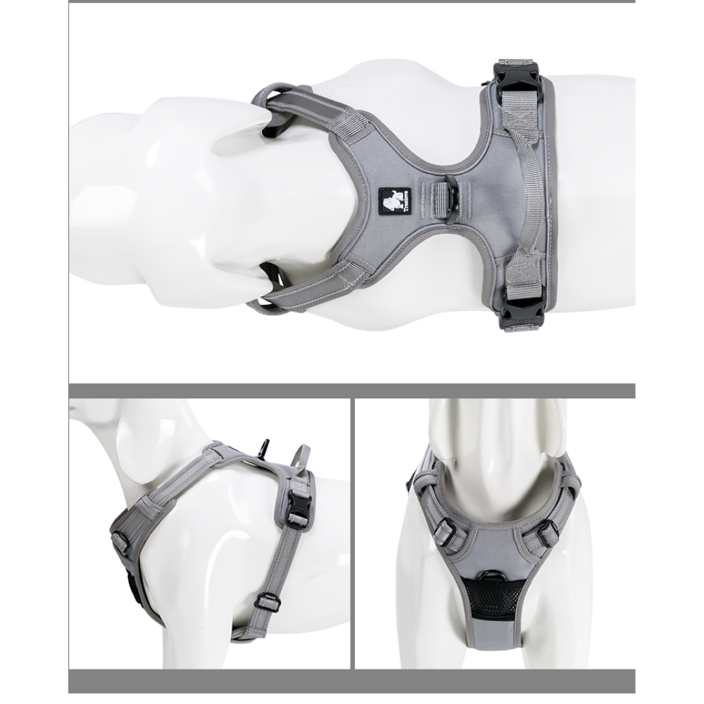 Truelove Classic Harness and Padded Collar for Dogs (Grey) - L image 5