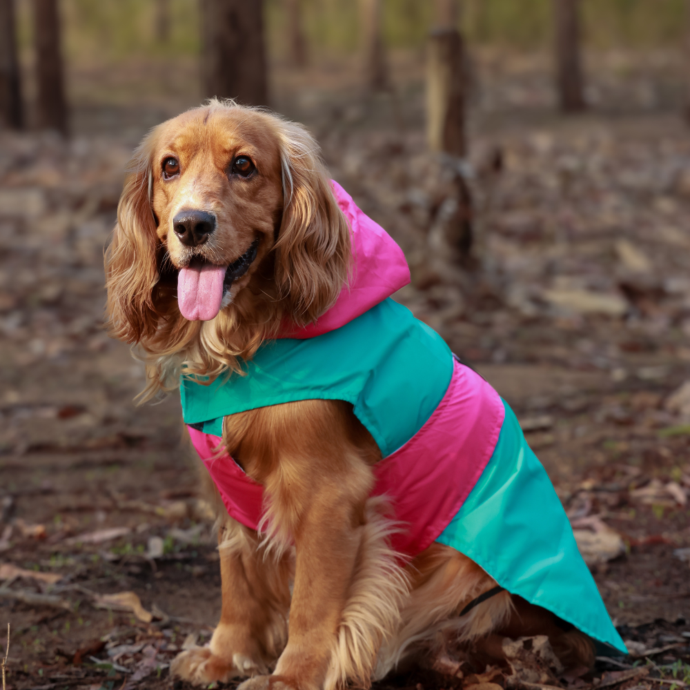 Pet Set Go Splash Waterproof Raincoat for Dogs (Aqua Pink) image 4