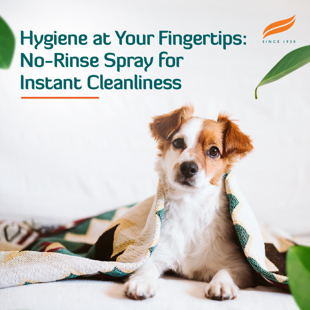 Himalaya Fresh Coat No Rinse Spray for Dogs and Cats image 6