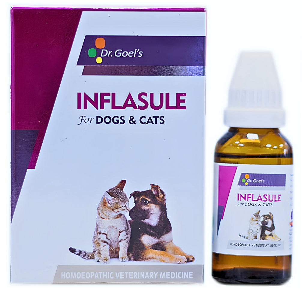 Dr Goel's Inflasule for Dogs and Cats (30ml) image 1