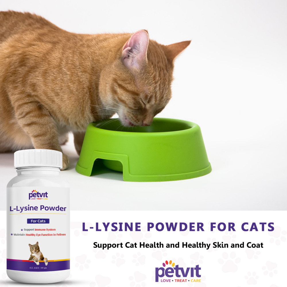 Petvit L Lysine Powder for Cats image 8