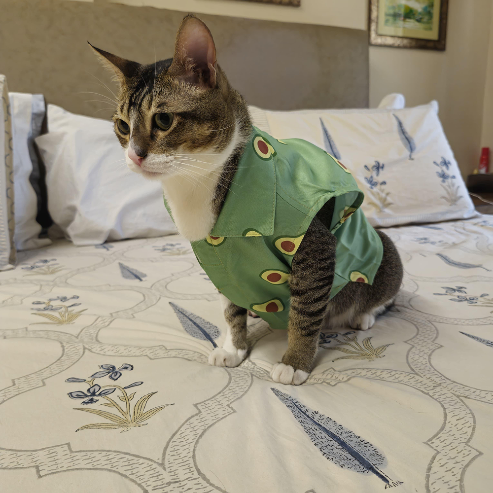 15 Furries Avocado Shirt for Cats (Green) image 5