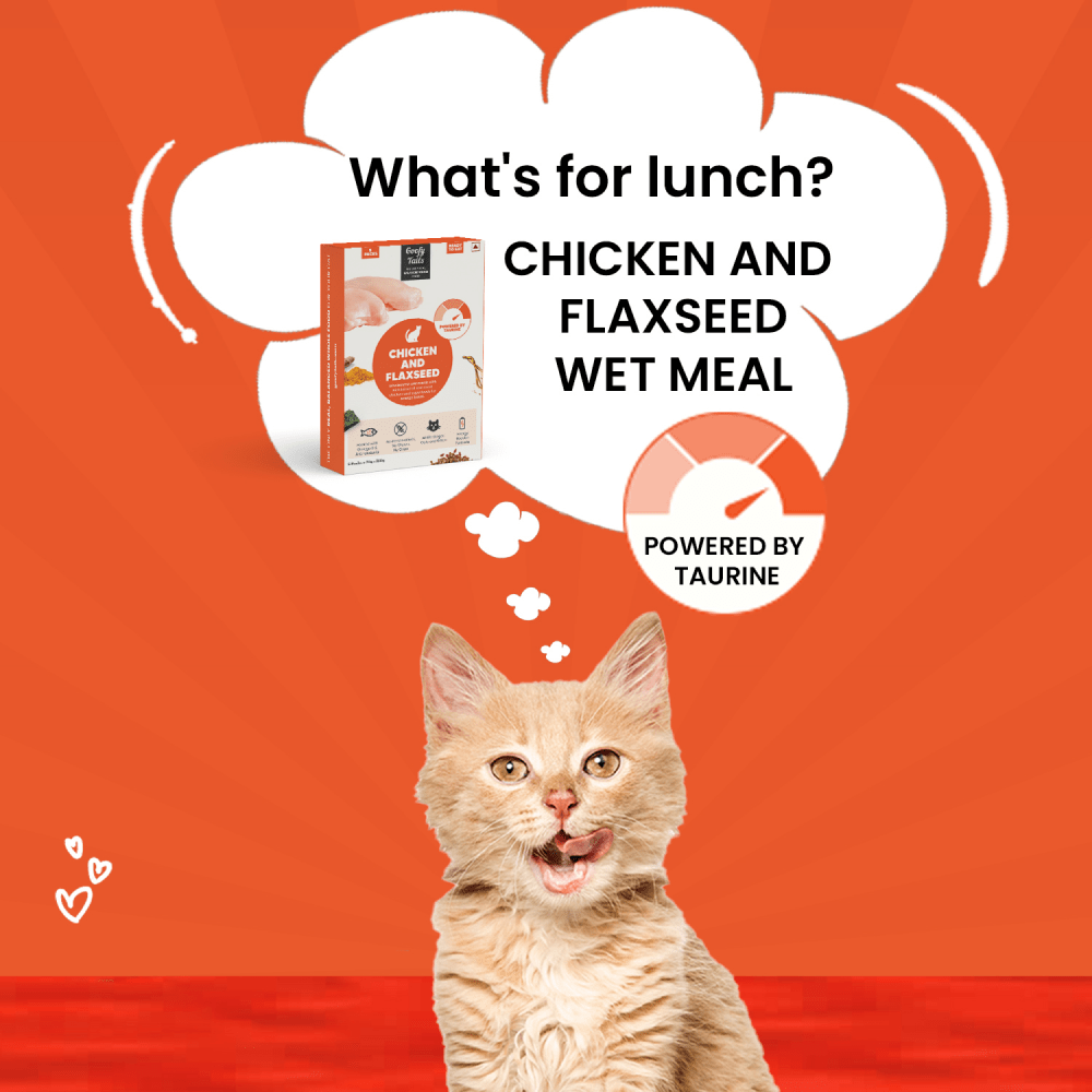 Goofy Tails Chicken and Flaxseed Cat Wet Food image 6